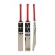 SS Professional Bats English Willow Cricket Bat