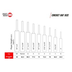 SS Custom English Willow Cricket Bat