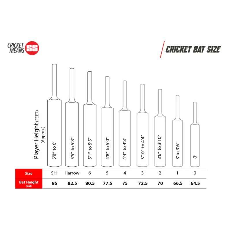 SS Sir Rechard English Willow Cricket Bat