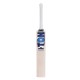 SS Ton Player Edition English Willow Cricket Bat