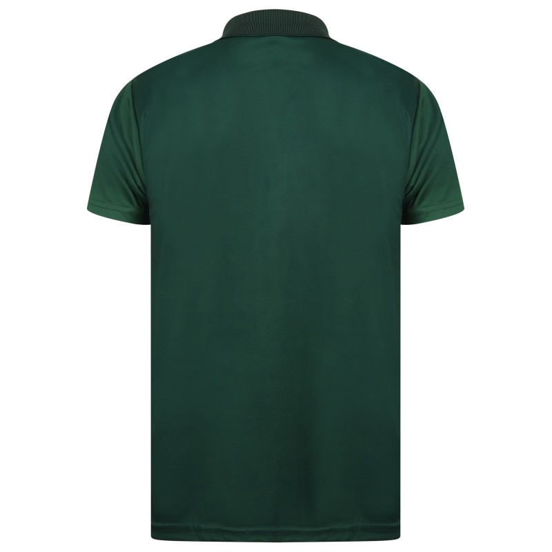 South Africa 2019 ICC World Cup Half Sleeves Cricket Fan Jersey - 100% Dryfit Polyester - With Name Personalisation