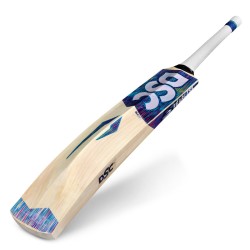 DSC BLU 77 Kashmir Willow Bat