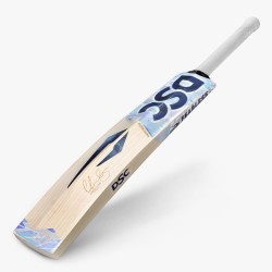 DSC Chris Lynn Cricket Bat