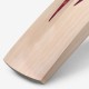 DSC Condor Players Edition Bat