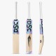 DSC Cynos 5050 English Willow Bat