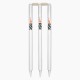 DSC Fine Duco Finish Cricket Stumps