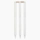 DSC Fine Duco Finish Cricket Stumps