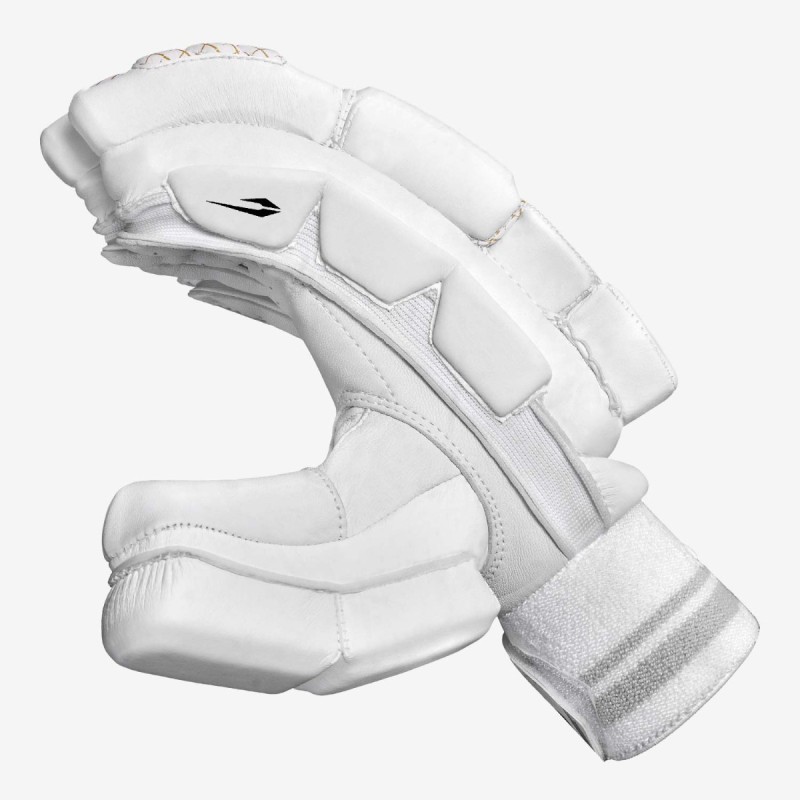 DSC Flite Batting Gloves