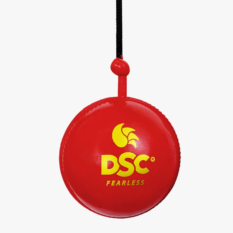 DSC Hanging Synthetic Ball (6 Balls)