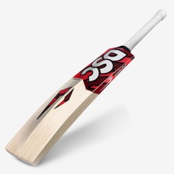 DSC Intense Assault English Willow Cricket Bat