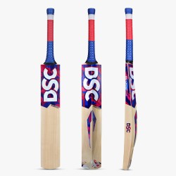 DSC Intense Clout Kashmir Willow Bat