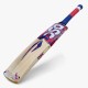 DSC Intense Crush Kashmir Willow Bat