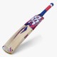 DSC Intense Force Kashmir Willow Bat