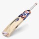 DSC Krunch 88 Kashmir Willow Bat