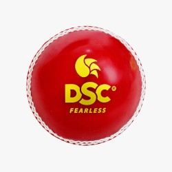DSC Marathon Incredi Training Ball (6 Balls)