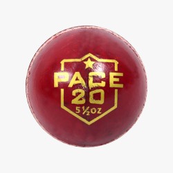 DSC Pace 20 Leather Ball