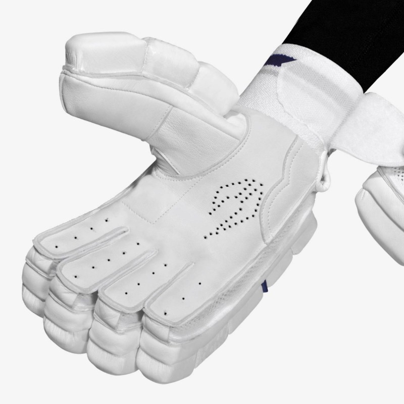 DSC Passion Batting Gloves