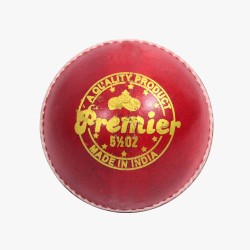 DSC Premier Leather Ball