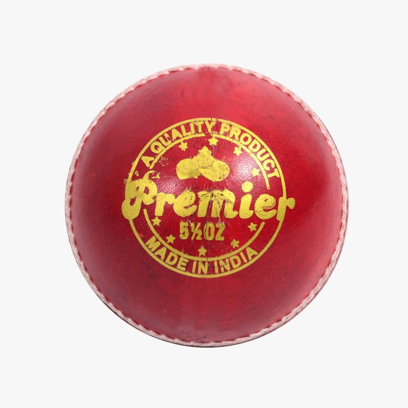 DSC Premier Leather Ball