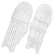 DSC Pro Players Batting Leg Guard