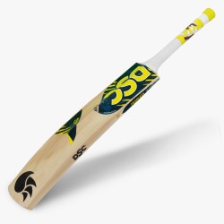 DSC Roar Blast Kashmir Willow Bat