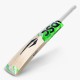 DSC SPLIIT 65 English Willow Bat