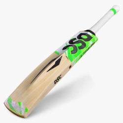 DSC Spliit 77 Kashmir Willow Bat