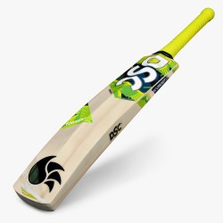 DSC Torment LE Incredible Willow Bat
