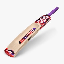 DSC Wildfire Falcon Tennis Bat