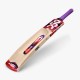 DSC Wildfire Falcon Tennis Bat
