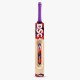 DSC Wildfire Falcon Tennis Bat