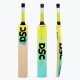DSC Wildfire Warrior Tennis Bat