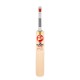 SG 70 Sunny Years English Willow Cricket Bat