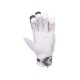 SG Hilite 2.0 Batting Gloves