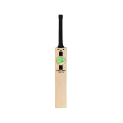 SG King Cobra Arc 1.0 English Willow Cricket Bat