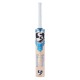 SG Nexus Xtreme English Willow Cricket Bat
