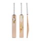 SG Sunny Gold English Willow Cricket Bat
