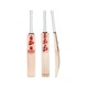 SG Sunny Tonny Arc 1.0 English Willow Cricket Bat