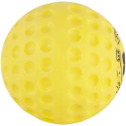 SS BOWLING MACHINE (SMALL DOT) Practice Ball