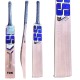 SS PLAYER DRS Kashmir Willow Cricket Bat