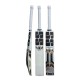 SS PLAYER (TILAK,POORAN, SHIVAM) Kashmir Willow Cricket Bat