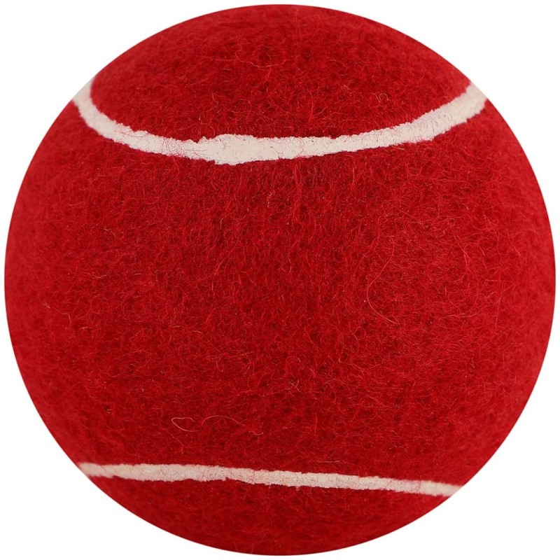 SS SS TENNIS BALL(PACK OF SIX) Practice Ball