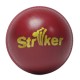 SS STRIKER SYNTHETIC BALL Practice Ball