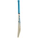 SS TON BLASTER Kashmir Willow Cricket Bat