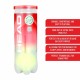 HEAD Championship Tennis Ball Dozen (12 Balls)