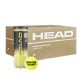 HEAD Tour XT Tennis Ball Carton (72 Balls)
