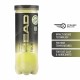 HEAD Tour XT Tennis Ball Dozen (12 Balls)