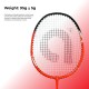 APACS Rally 313 Badminton Racquet (Strung, Red/Black)