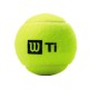 Wilson Titanium All Court Tennis Ball Dozen (12 Balls)