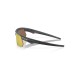 Oakley Unisex Polarized Gold Lens Rectangle Sunglasses - 0OO940094001268